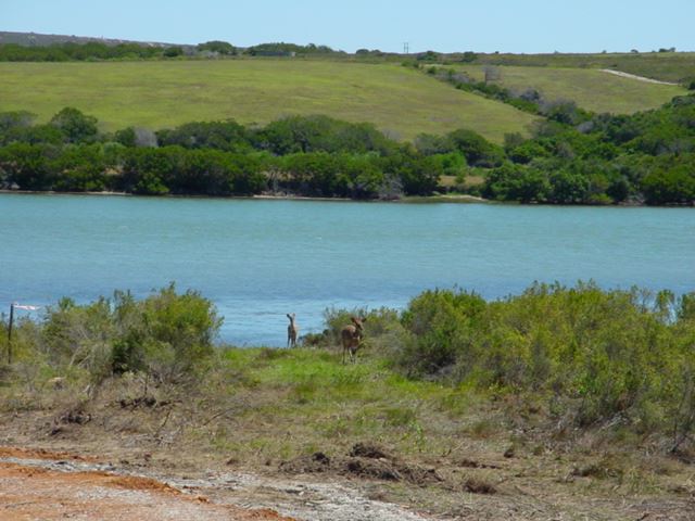 0 Bedroom Property for Sale in Kromme River Estate Eastern Cape